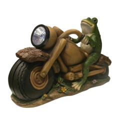 Solar Powered Frog on Motorcycle