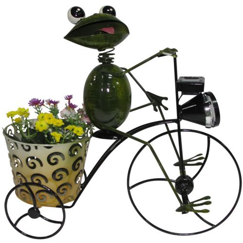 Solar Frog on Bike